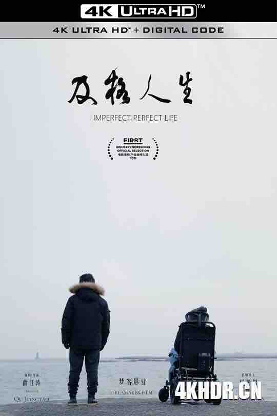 及格人生 (2021) / Imperfect Perfect Life / 4K电影下载 / Imperfect.Perfect.Life.2021.2160p.WEB-DL.H265.AAC