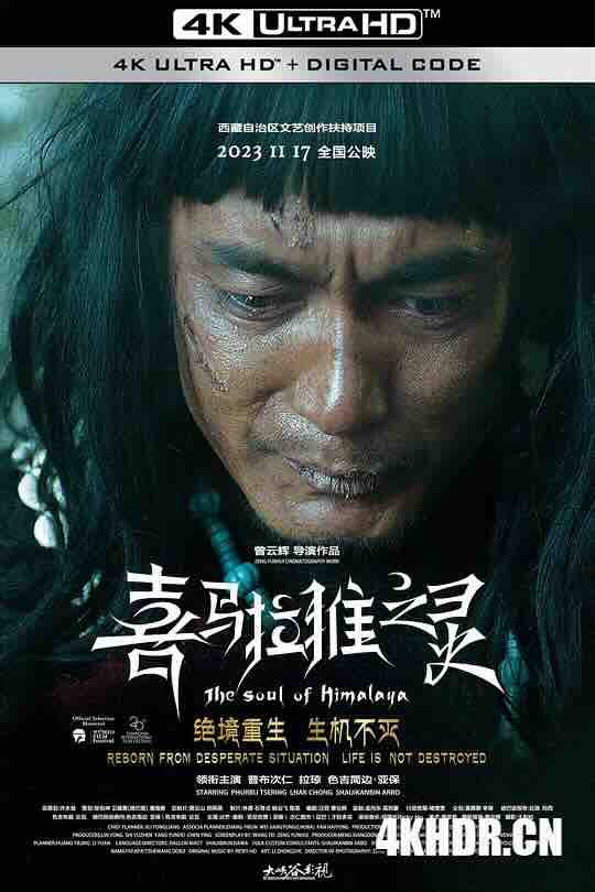 喜马拉雅之灵 (2017) / The Soul of Himalaya / 4K电影下载 / The.Soul.of.Himalaya.2017.2160p.HQ.WEB-DL.H265.60fps.DTS5.1