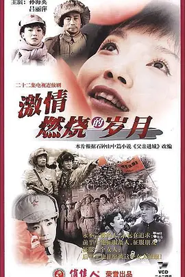 激情燃烧的岁月 (2001)