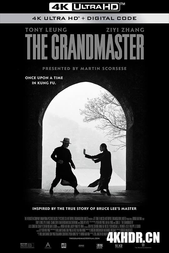 一代宗师 一代宗師 (2013) 一代宗师3D/一代宗师终极版/The Grandmaster