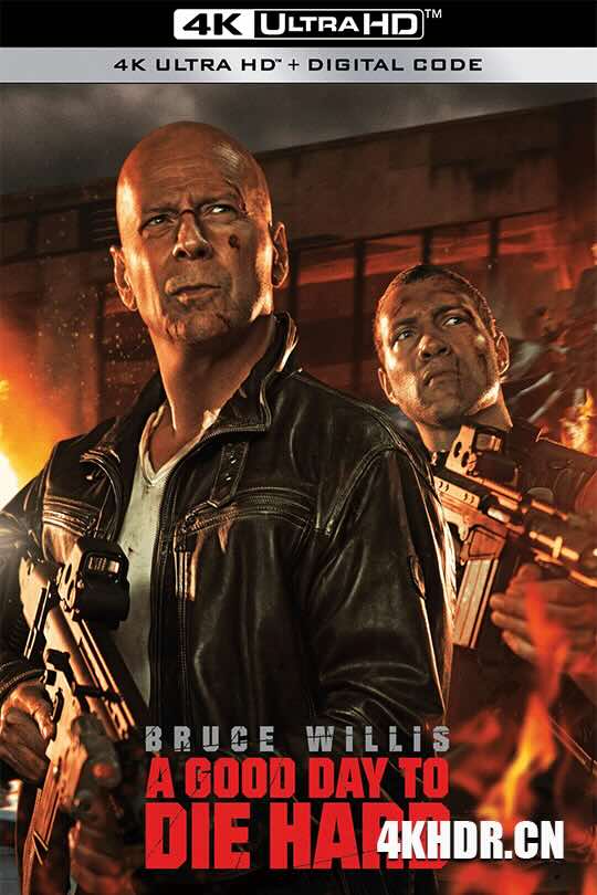 虎胆龙威5 A Good Day to Die Hard (2013) 虎胆龙威5：择日开战(港)/终极警探：跨国救援(台)/大好日子去死硬(豆友译名)