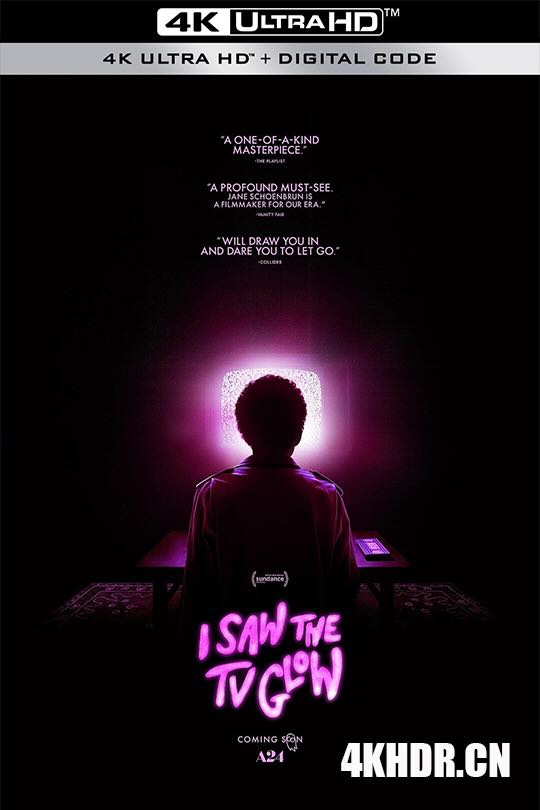 荧屏在发光 I Saw the TV Glow (2024) 我看到电视发光