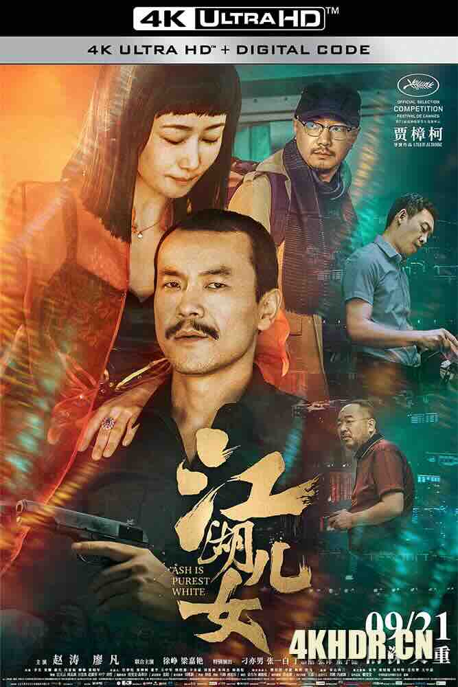 江湖儿女 (2018) 金钱与爱情/灰烬是最洁白的/Ash is Purest White/中国大陆/法国/日本/豆瓣: 7.6