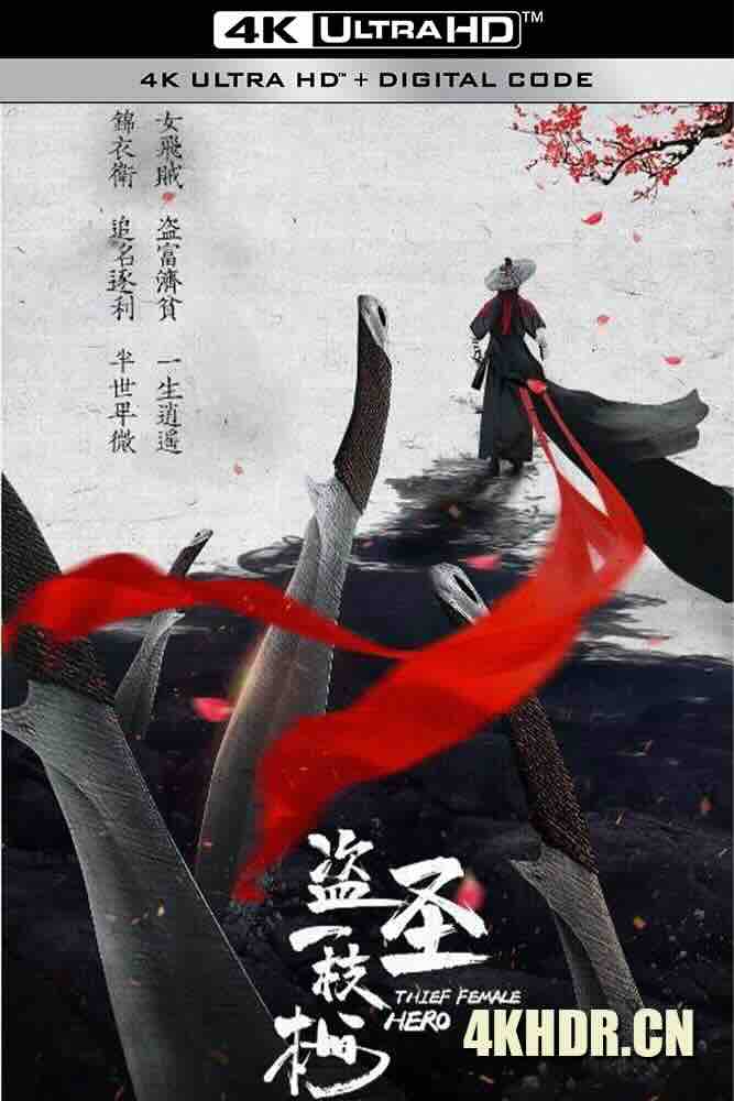 盗圣一枝梅 (2021) Thief Female Hero/Thief Heroine/中国大陆/豆瓣: