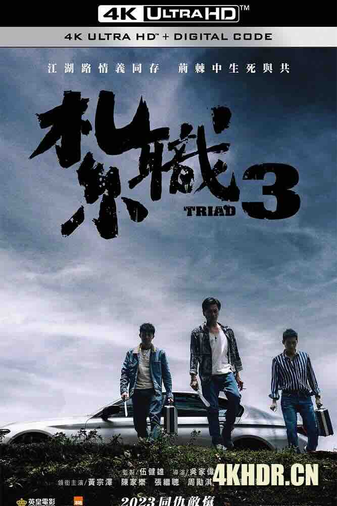 扎职3 紮職3 (2024) 扎职3：义薄云天/Triad 3/The Unwavering Brotherhood/中国香港/豆瓣: