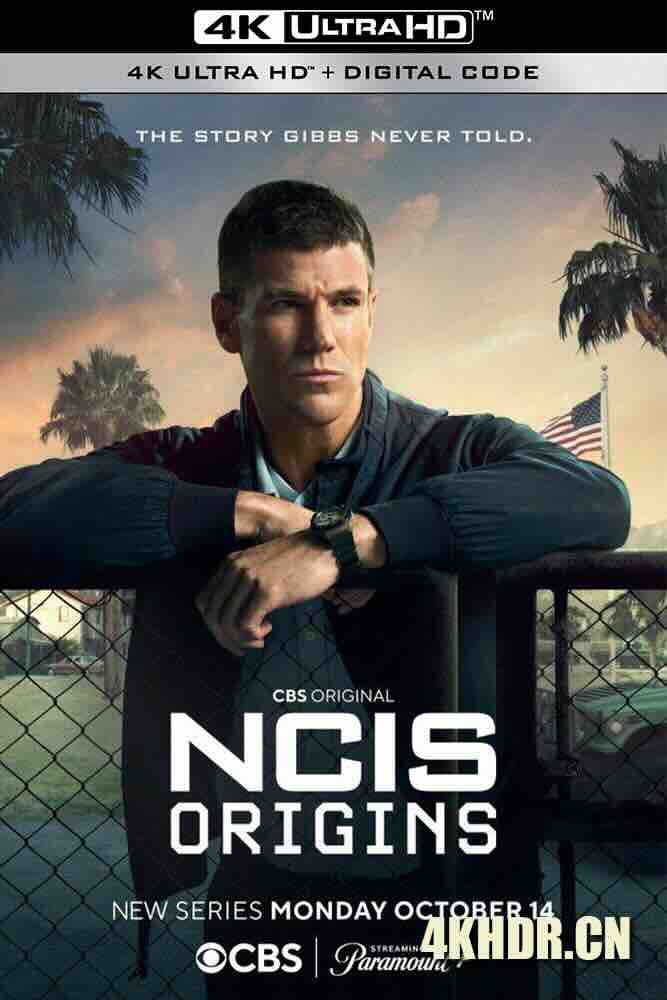 海军罪案调查处：起源 NCIS: Origins (2024) 海军罪案调查局：起源/美国/豆瓣: