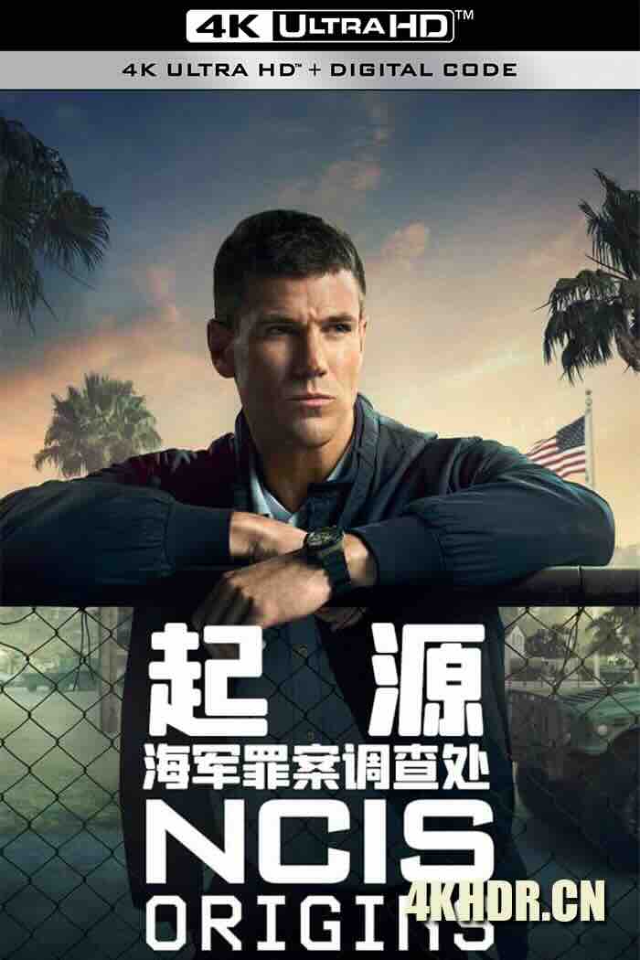 海军罪案调查处：溯源 NCIS: Origins (2024) 海军罪案调查局：起源 [美国]豆瓣: