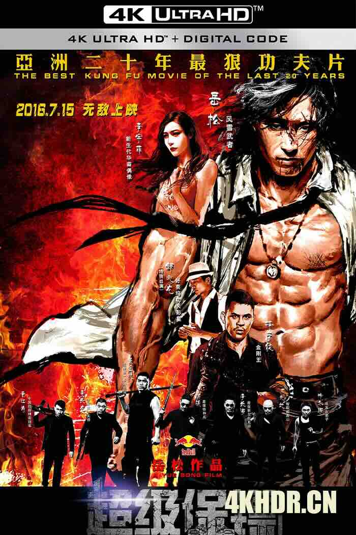 超级保镖 (2016) The Bodyguard/Iron Protector [中国大陆]豆瓣: 5.3