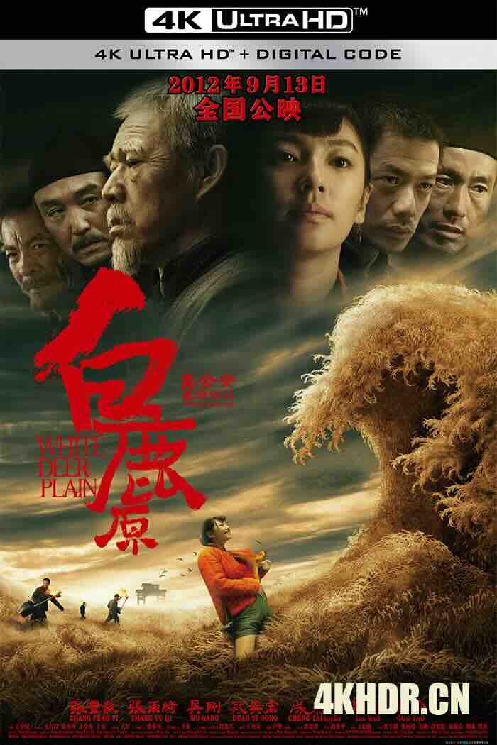 白鹿原 (2012) White Deer Plain/Bailu Place [中国大陆]豆瓣: 6.5