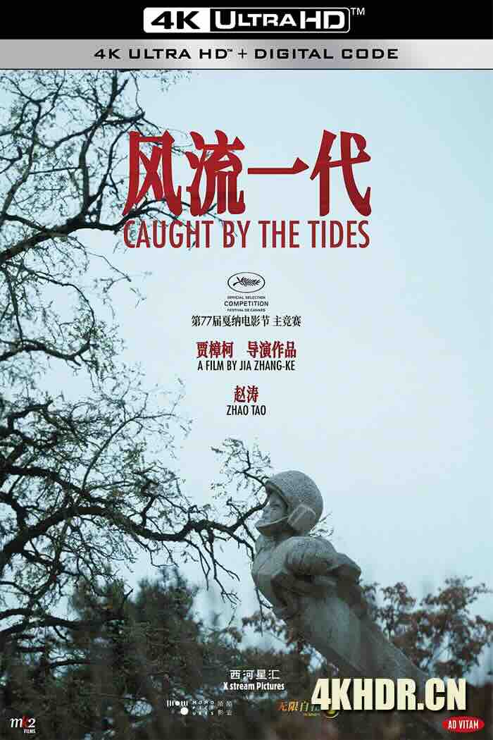 风流一代 (2024) 新世纪浪漫主义/Caught by the Tides/We Shall Be All [中国大陆]豆瓣: 6.3