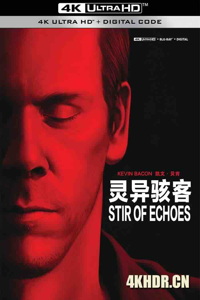 灵异骇客 Stir of Echoes (1999) 亡灵呼唤/幻觉回声/恶夜回声 [美国]豆瓣: 6.5