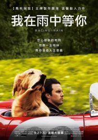 我在雨中等你 The.Art.of.Racing.in.the.Rain.2019.2160p.WEB-DL.DTS-HD.MA....