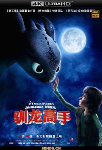 驯龙高手 How to Train Your Dragon (2010)160p.BluRay.REMUX.HEVC.DTS-X.7.1-...