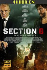 暗影特工 Section.8.2022.2160p.WEB-DL.x265.10bit.SDR.DD5.1-CM