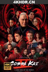 眼镜蛇 第五季 Cobra.Kai.S05.2160p.NF.WEB-DL.x265.10bit.HDR.DDP5.1-DONUT...