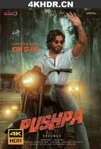 普什帕：崛起-第1部分 Pushpa.the.Rise.2021.2160p.AMZN.WEB-DL.DDP5.1.H...