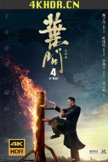 叶问4：完结篇 ip.man.4.the.finale.2019.chinese.2160p.bluray.remux.hevc....