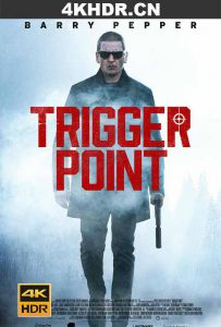 特工追缉令 Trigger.Point.2021.2160p.SDR.WEB-DL.DD5.1.H265-EVO[TGx]