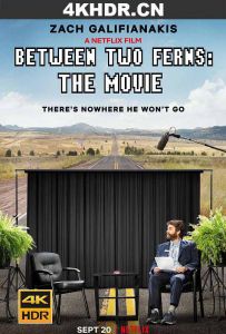 蕨间访谈：电影版 Between.Two.Ferns.The.Movie.2019.2160p.NF.WEB-DL.DDP...