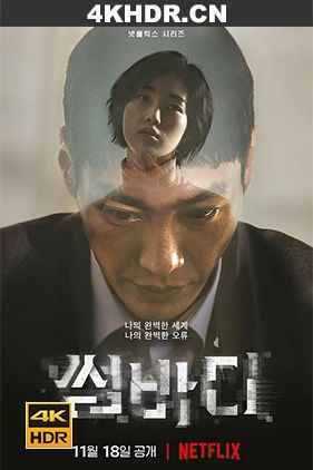 命定之人 썸바디 (2022) / Somebody.S01.2022.NF.WEB-DL.2160p.HEVC.HDR.DDP-Xiaomi.mkv（迅雷云盘）