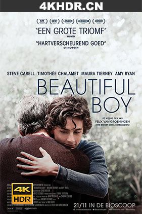 漂亮男孩 / 美丽男孩 Beautiful.Boy.2018.2160p.WEB-DL.HDR.DDP5.1.H265-C...