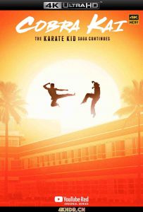 眼镜蛇 第一季 Cobra.Kai.S01.2160p.NF.WEB-DL.x265.10bit.SDR.DDP5.1