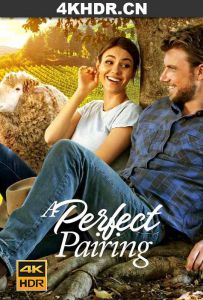 完美绝配 A.Perfect.Pairing.2022.2160p.NF.WEB-DL.DDPA5.1.HDR.DV.HEVC-WiNE