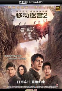 移动迷宫2 Maze.Runner.The.Scorch.Trials.2015.2160p.BluRay.HEVC.DTS-HD.MA....