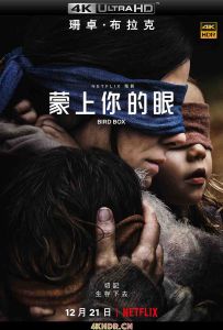 蒙上你的眼 Bird.Box.2018.2160p.NF.WEBRip.x265.10bit.HDR.DDP.5.1.Atmos-DE...