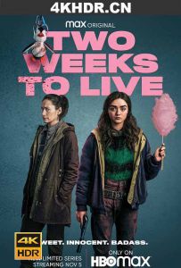 两周后就死 Two.Weeks.To.Live.S01.2160p.AMZN.WEB-DL.x265.8bit.SDR.DDP5.1-...