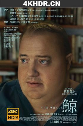 鲸 The Whale (2022) / 庞然大物 / 我的鲸鱼老爸(台) / The.Whale.2022.2160p.UHD.Blu-ray.Remux.DV.HDR.HEVC.DTS-HD.MA.7.1-CiNEPHiLES