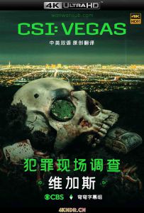 犯罪现场调查：维加斯 第一季 CSI.Vegas.S01.2160p.WEB-DL.DDP5.1.x2...