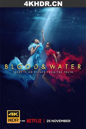 血与水 第三季 Blood.And.Water.S03.2160p.NF.WEB-DL.x265.10bit.SDR.DDP5.1...