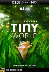 小小世界 第二季 Tiny.World.S02.2160p.ATVP.WEB-DL.x265.10bit.HDR.DDP5.1...