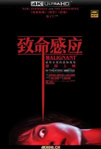 致命感应 Malignant.2021.2160p.UHD.BluRay.x265.10bit.HDR.DTS-HD.MA.5.1-SWT...