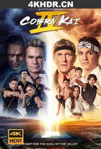 眼镜蛇 第四季 Cobra.Kai.S04.2160p.NF.WEB-DL.x265.10bit.HDR.DDP5.1-DONUT...