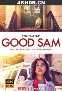 神秘慈善家 Good.Sam.2019.2160p.NF.WEB-DL.DDPA5.1.HDR.DV.HEVC-SiC