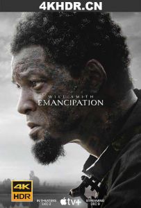 解放黑奴 Emancipation.2022.REPACK.2160p.ATVP.WEB-DL.x265.10bit.HDR10Plus....