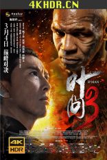 叶问3 (2015) Yip Man 3 / Ip Man 3 / IP.MAN.3.2015.USA.UHD.BLURAY.2160P.HEVC.ATMOS.7.1-DDR