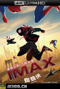 蜘蛛侠：平行宇宙 Spider-Man: Into the Spider-Verse (2018)2160p.BluRay...